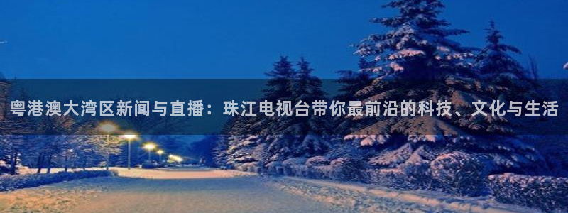 857直播nba在线直播：粤港澳大湾区新闻与直播：珠江电视台带你最前沿的科技、文化与生活