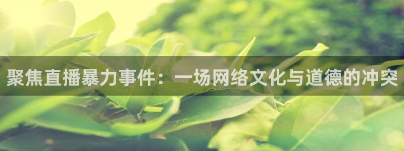 857足球直播高清完整版：聚焦直播暴力事件：一场网络文化与道德的冲突