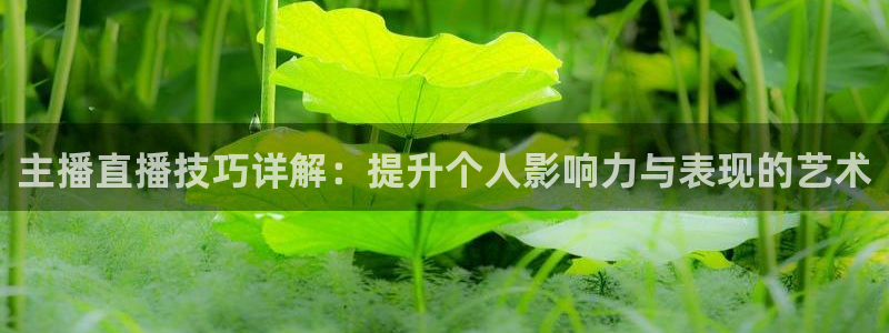 857雨燕体育直播：主播直播技巧详解：提升个人影响力与表现的艺术