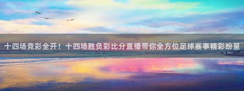 857体育直播间官网：十四场竞彩全开！十四场胜负彩比分直播带你全方位足球赛事精彩纷呈